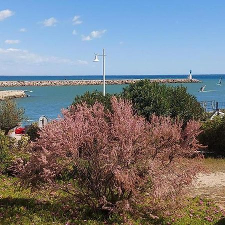 T3 Carnon, 1Ere Ligne 50M Plage Terrasse Parking 莫吉奥 外观 照片